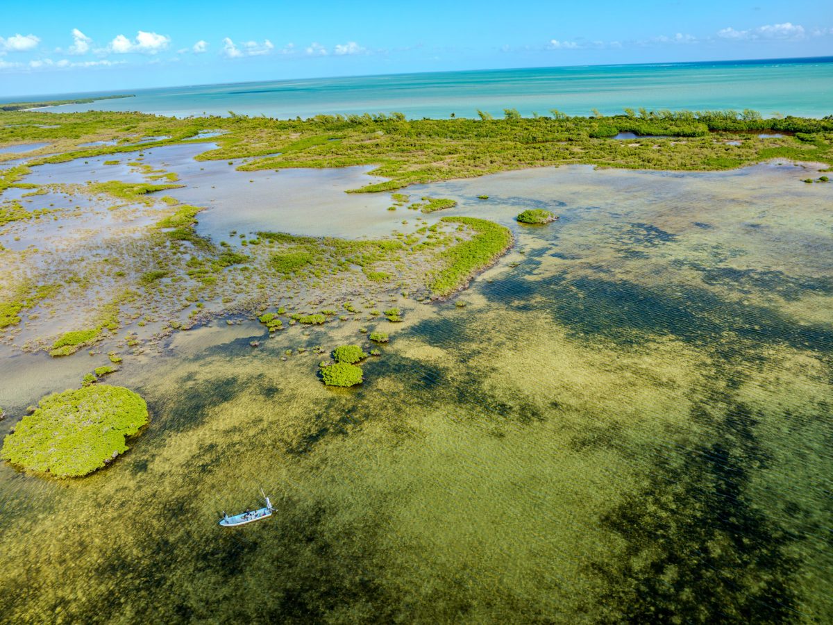 DJI_0877-Enhanced-NR